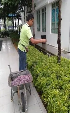 Landscape Cleaning at Vsquare, Austin Perdana - landscape maintenance Johor Bahru JB by Greenish Landscape